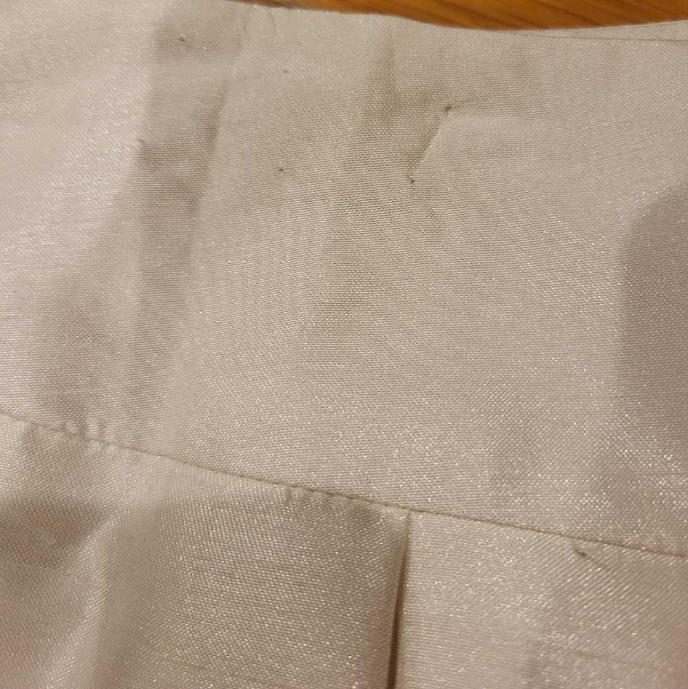 Ivory Embroidered Pleated SheSunee Skirt - Picture 5 of 5
